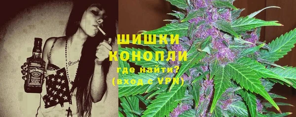 сатива Алексеевка