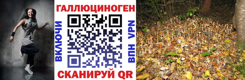 Галлюциногенные грибы MAGIC MUSHROOMS  Махачкала 