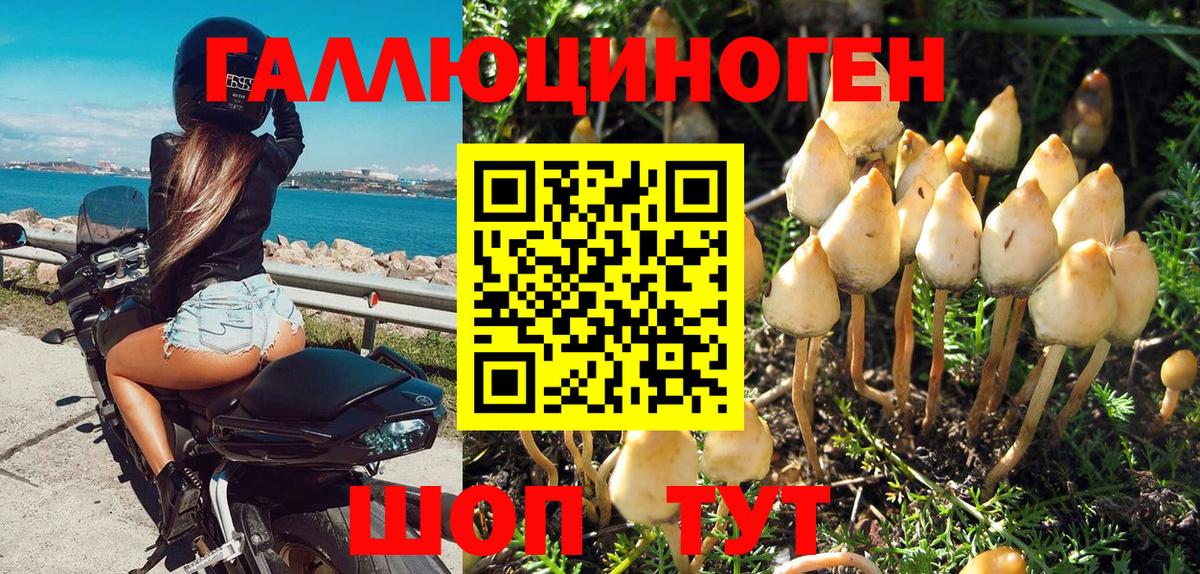 Галлюциногенные грибы MAGIC MUSHROOMS  Вход с VPN  Махачкала 
