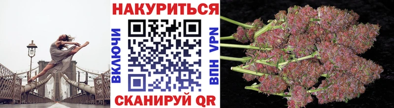 Бошки марихуана конопля Махачкала